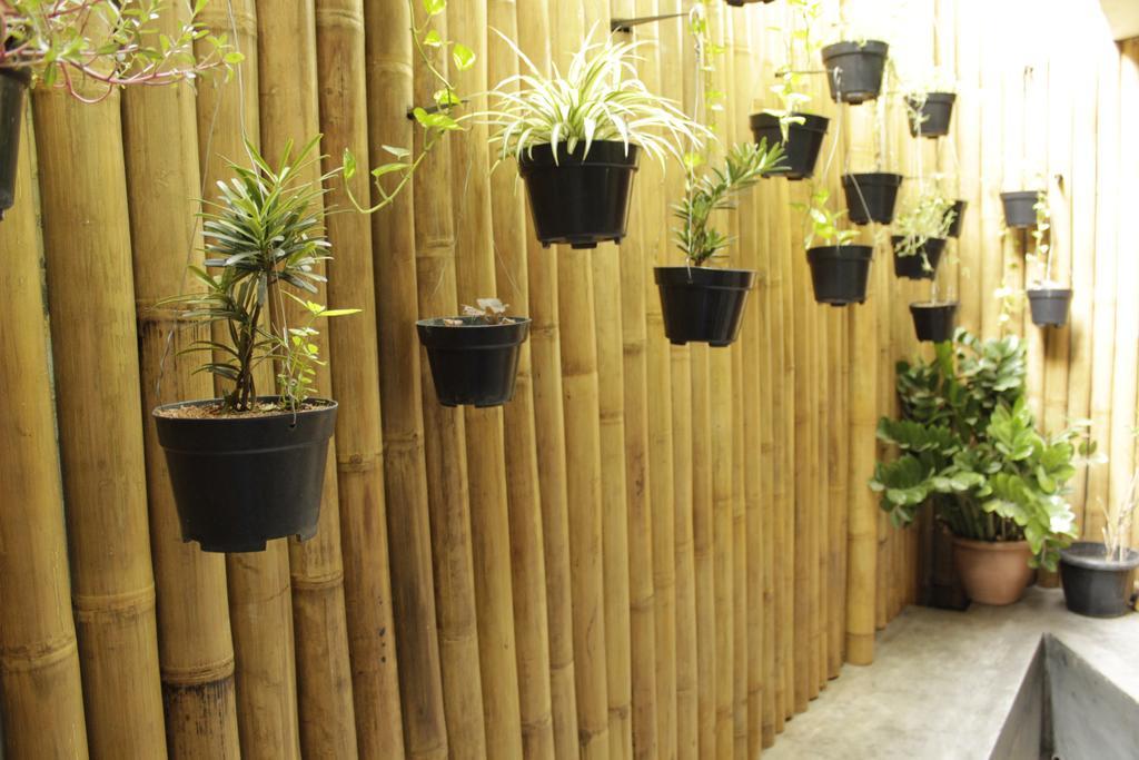 ג'קרטה Teduh Hostel Kota Tua מראה חיצוני תמונה